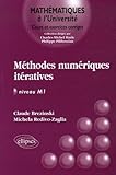 M%C3%A9thodes Num%C3%A9riques It%C3%A9ratives : Alg%C3%A8bre Lin%C3%A9aire Et Non Lin%C3%A9aire