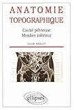 Anatomie Topographique : Cavit%C3%A9 Pelvienne, Membre Inf%C3%A9rieur