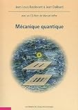 M%C3%A9canique Quantique (accompagne Logiciel T%C3%A9l%C3%A9chargeable D%C3%A9velopp%C3%A9 Par Manuel Joffre)