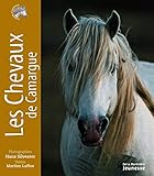 Les Chevaux De Camargue