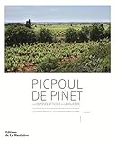Picpoul De Pinet   Une Odyss%C3%A9e Viticole En Languedoc