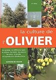 La Culture De L'olivier