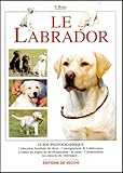 Le Labrador
