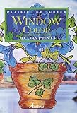 Window Color Dcors Peints