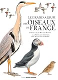 Lalbum Des Oiseaux De France