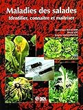 Maladies Des Salades: Identifier, Conna%C3%AEtre Et Ma%C3%AEtriser