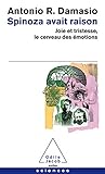 Spinoza Avait Raison Joie Et Tristesse Le Cerveau Des Motions