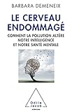 Le Cerveau Endommag Comment La Pollution Altre Notre Intelligence Et Notre Sant