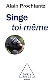 Singe Toimme