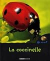 La marieta (I tu, qui ets? Animals) (Catalan Edition)