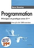 Programmation Principes Et Pratique Avec C