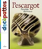 L'escargot, Paisible Dormeur
