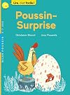 POUSSIN SURPRISE