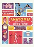 Anatomia Cartographie Du Corps Humain