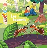 Les Fourmis