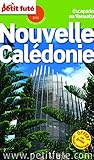 Petit Fut Nouvellecaldonie