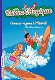 La Cabane Magique Tome 23 Grosses Vagues Hawa