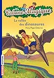 La Cabane Magique Tome 01 La Valle Des Dinosaures
