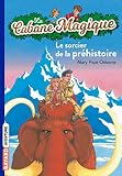 Le Sorcier De La Prhistoire Modle Alatoire
