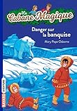 La Cabane Magique Tome 15 Danger Sur La Banquise