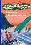 La Cabane Magique Tome 26 A La Recherche De Lpe De Lumire