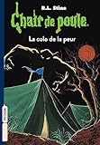 Chair De Poule , Tome 10: La Colo De La Peur