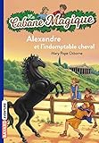 La Cabane Magique Tome 44 Alexandre Et Lindomptable Cheval
