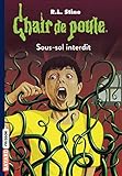 Chair De Poule Tome 17 Soussol Interdit