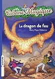 Le Dragon De Feu La Cabane Magique