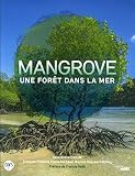 Mangrove Une Fort Dans La Mer