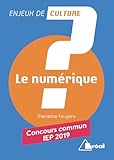 Le Numrique Concours Commmun Iep
