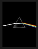 Pink Floyd Their Mortal Remains Le Livre Officiel