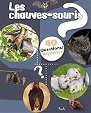 Les chauves-souris