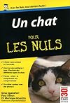 Un chat pour les nuls