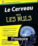 Le Cerveau Pour Les Nuls