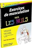 Exercices De Musculation Pour Les Nuls