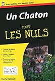 Un Chaton Poche Pour Les Nuls