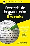 L'essentiel De La Grammaire Pour Les Nuls