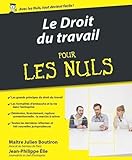 Le Droit Du Travail Pour Les Nuls, 3e %C3%A9dition
