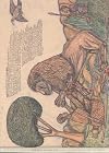 Les saisons oubliรฉes : Une enfance africaine