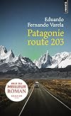 Patagonie route 203