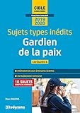 Gardien De La Paix Cat%C3%A9gorie B : Sujets Types In%C3%A9dits