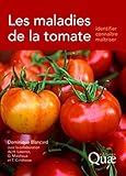 Les Maladies De La Tomate: Identifier, Conna%C3%AEtre, Ma%C3%AEtriser