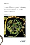 La Symbiose Mycorhizienne: Une Association Entre Les Plantes Et Les Champignons.