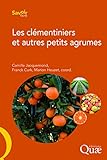 Les Cl%C3%A9mentiniers Et Autres Petits Agrumes