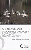 Que Ferons Nous Des Canards Sauvages 