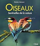 Oiseaux Sentinelles De La Nature