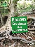 Racines