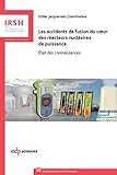 Les Accidents De Fusion Du Coeur Des R%C3%A9acteurs Nucl%C3%A9aires De Puissance : Etat Des Connaissances