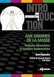 Aux Origines De La Masse